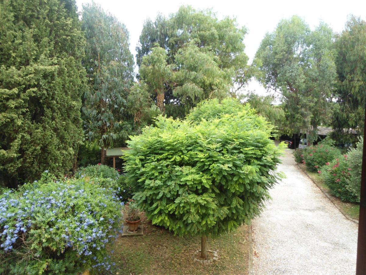 Agriturismo Le Pescine فادا المظهر الخارجي الصورة